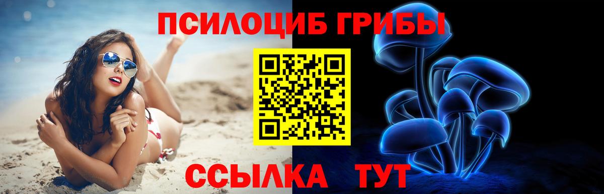 Галлюциногенные грибы мицелий  Вход с VPN  Химки 