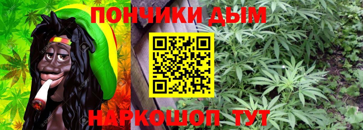 Марихуана сатива  Марихуана гибрид  Химки  Каннабис Bruce Banner  Вход с VPN  Конопля Bruce Banner 